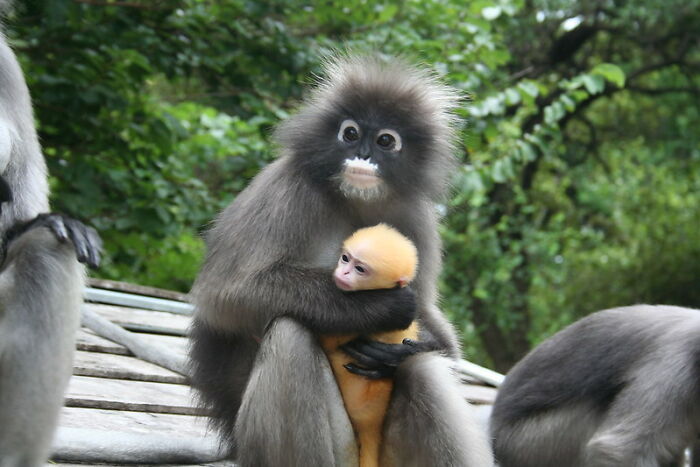 People Who Work For Or Interact With The Rich Describe The Weirdest Things They’ve Seen Behind Closed Doors (30 Stories)