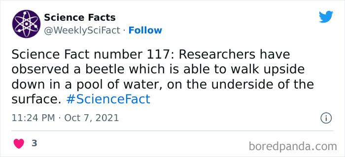 Science Facts