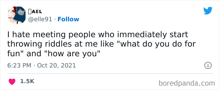 I Love That Dogs Don’t Ask Me These Questions