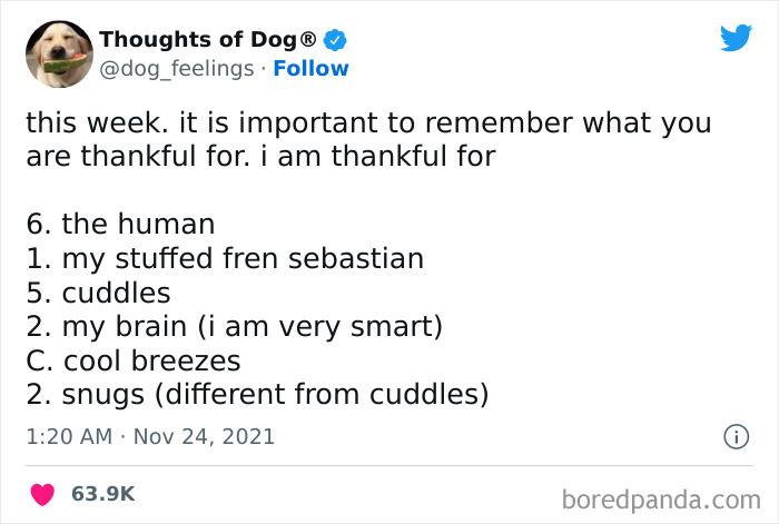 Funny-Tweets-Thoughts-Of-Dog