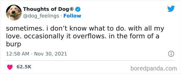 Funny-Tweets-Thoughts-Of-Dog