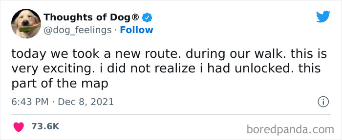 Funny-Tweets-Thoughts-Of-Dog