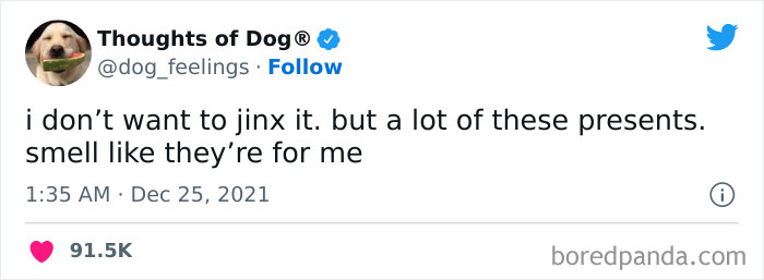 Funny-Tweets-Thoughts-Of-Dog