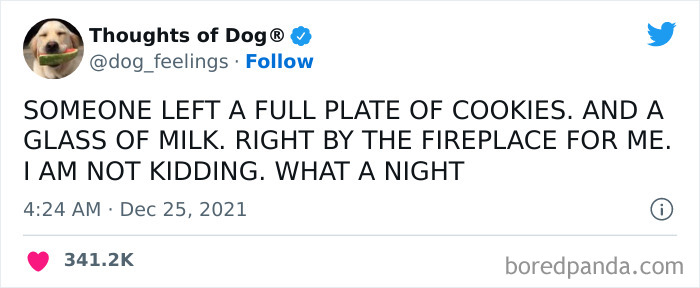 Funny-Tweets-Thoughts-Of-Dog