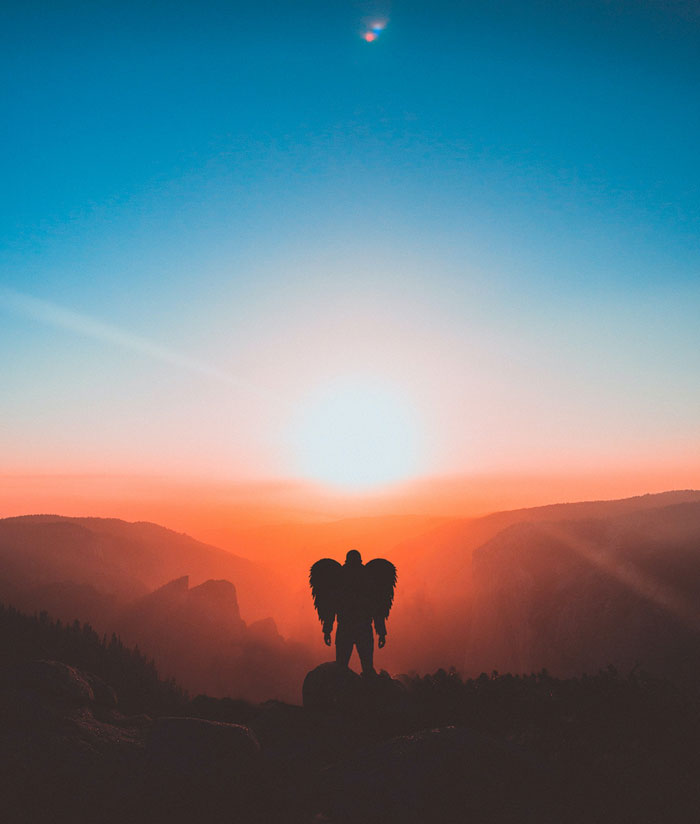 Do You Think It Would Be Better To Have Wings Or A Tail?