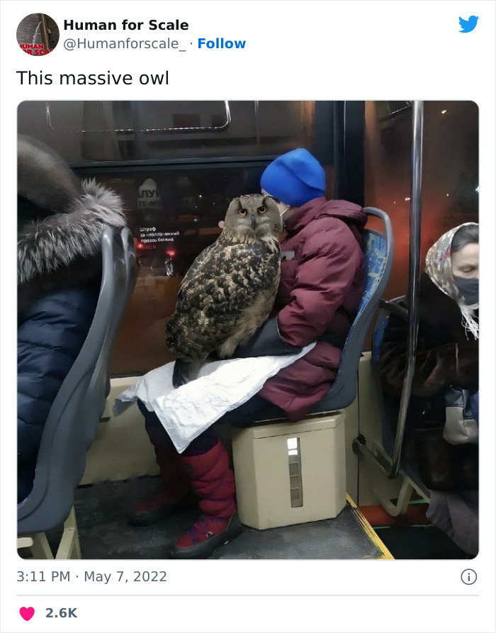 Human-For-Scale-Twitter