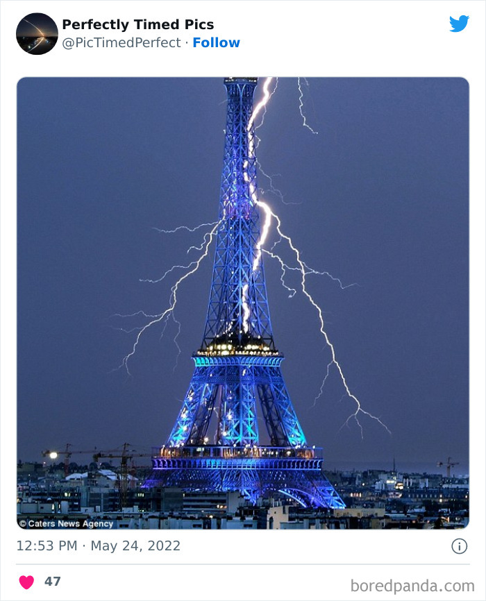 50 "Perfectly Timed Pics" That Might Make You Look Twice