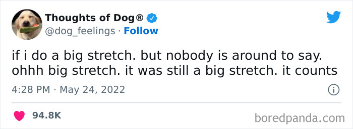 Funny-Tweets-Thoughts-Of-Dog