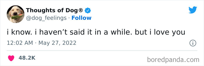 Funny-Tweets-Thoughts-Of-Dog