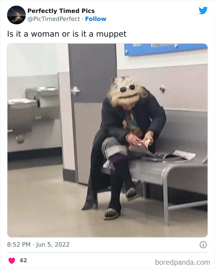 Perfectly-Timed-Pics