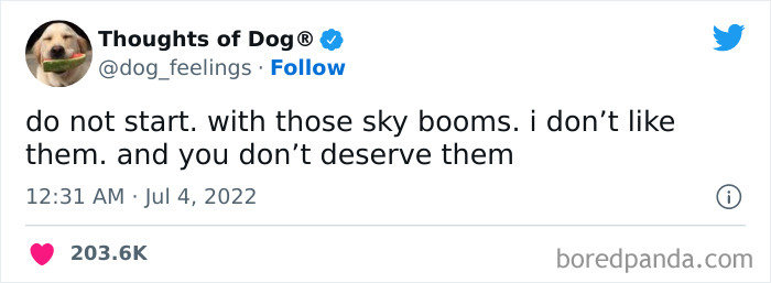 Funny-Tweets-Thoughts-Of-Dog
