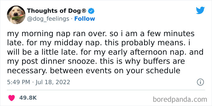 Funny-Tweets-Thoughts-Of-Dog
