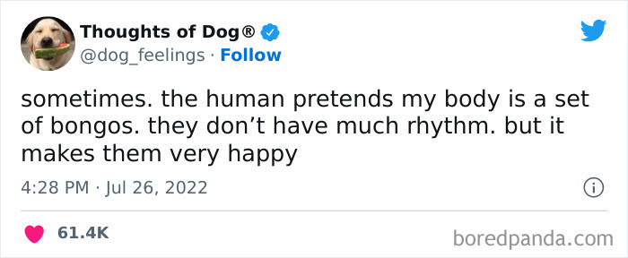 Funny-Tweets-Thoughts-Of-Dog
