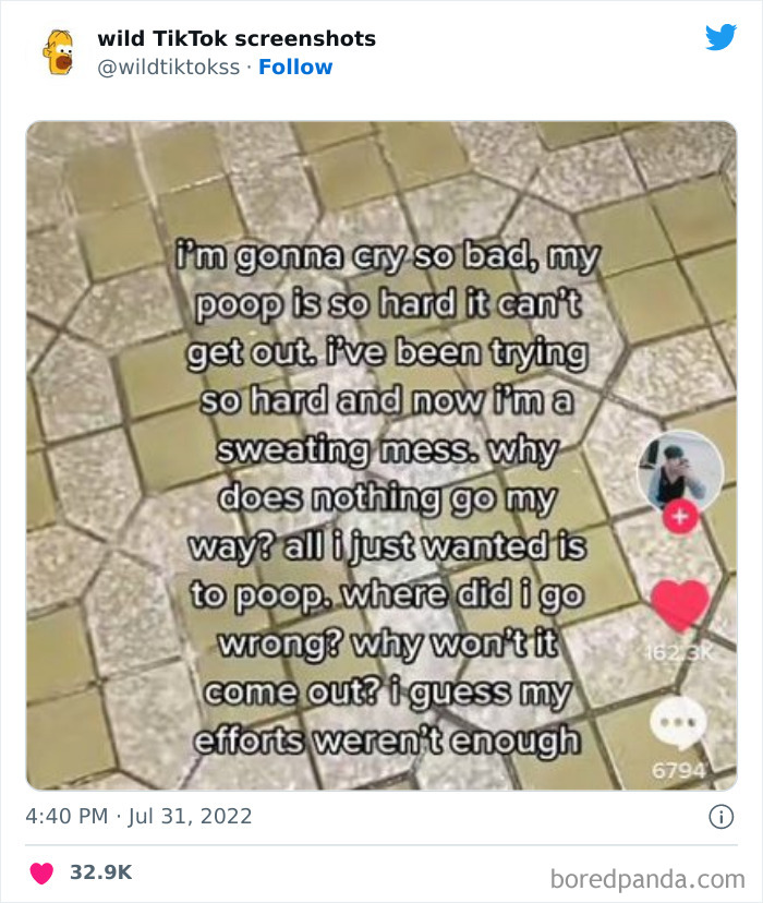 Wild-Tiktok-Screenshots