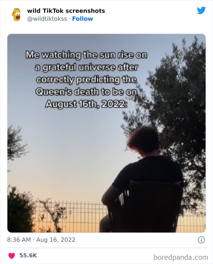 Wild-Tiktok-Screenshots