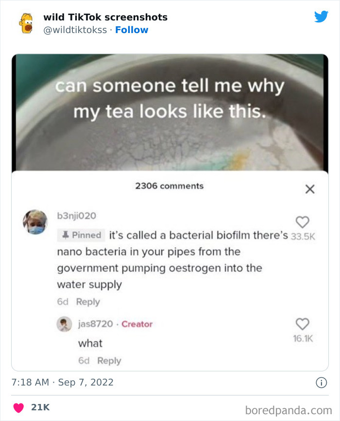 Wild-Tiktok-Screenshots