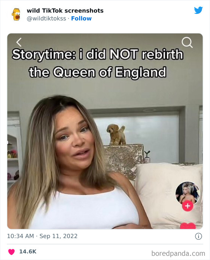 Wild-Tiktok-Screenshots