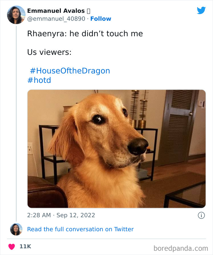 Dog looking skeptical in humorous House of the Dragon meme.