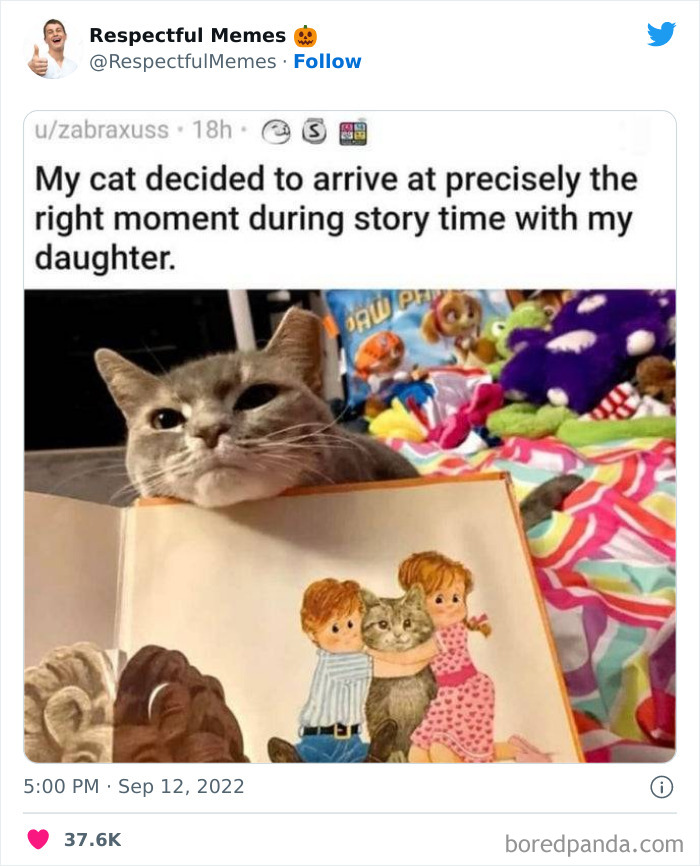 Kind-Respectful-Memes