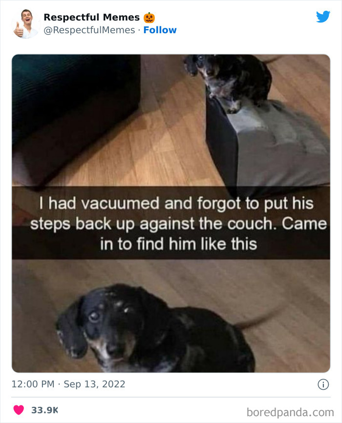 Kind-Respectful-Memes