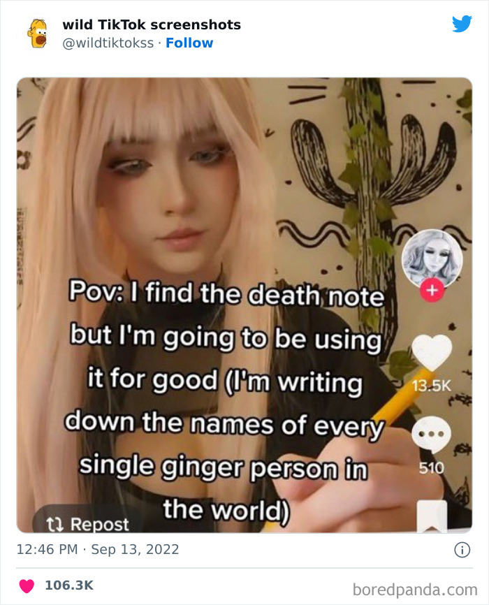 Wild-Tiktok-Screenshots