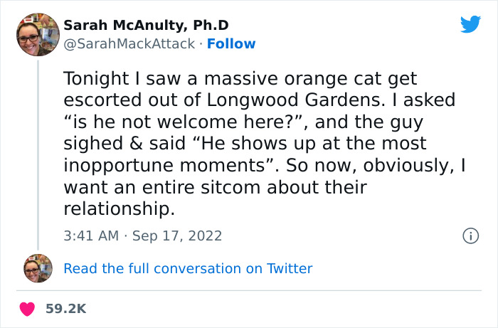 People Are Cracking Up At This Tweet In Which A Woman Tells How She Saw A Cat Being Escorted From A Botanical Garden People Are Cracking Up At This Tweet In Which A Woman Tells How She Saw A Cat Being Escorted From A Botanical Garden