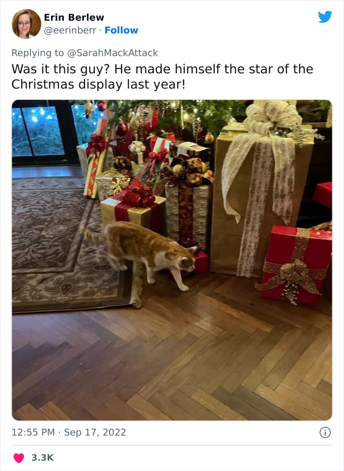 People Are Cracking Up At This Tweet In Which A Woman Tells How She Saw A Cat Being Escorted From A Botanical Garden People Are Cracking Up At This Tweet In Which A Woman Tells How She Saw A Cat Being Escorted From A Botanical Garden