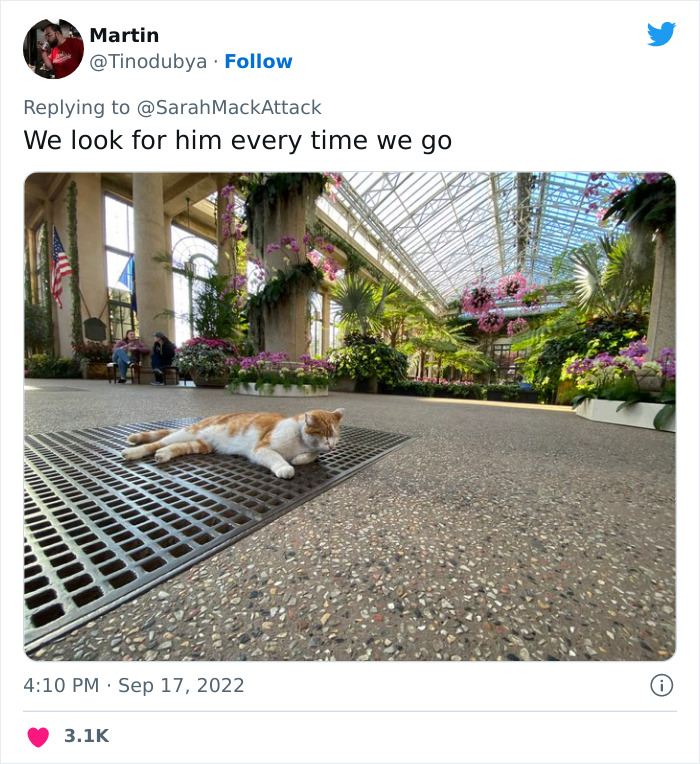 People Are Cracking Up At This Tweet In Which A Woman Tells How She Saw A Cat Being Escorted From A Botanical Garden People Are Cracking Up At This Tweet In Which A Woman Tells How She Saw A Cat Being Escorted From A Botanical Garden