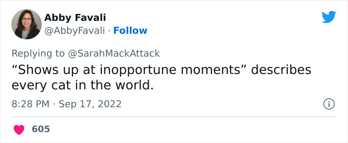 People Are Cracking Up At This Tweet In Which A Woman Tells How She Saw A Cat Being Escorted From A Botanical Garden People Are Cracking Up At This Tweet In Which A Woman Tells How She Saw A Cat Being Escorted From A Botanical Garden