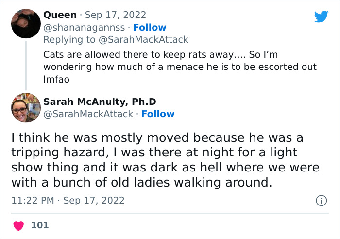 People Are Cracking Up At This Tweet In Which A Woman Tells How She Saw A Cat Being Escorted From A Botanical Garden People Are Cracking Up At This Tweet In Which A Woman Tells How She Saw A Cat Being Escorted From A Botanical Garden