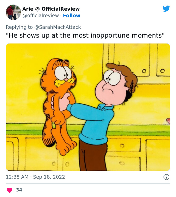 People Are Cracking Up At This Tweet In Which A Woman Tells How She Saw A Cat Being Escorted From A Botanical Garden People Are Cracking Up At This Tweet In Which A Woman Tells How She Saw A Cat Being Escorted From A Botanical Garden