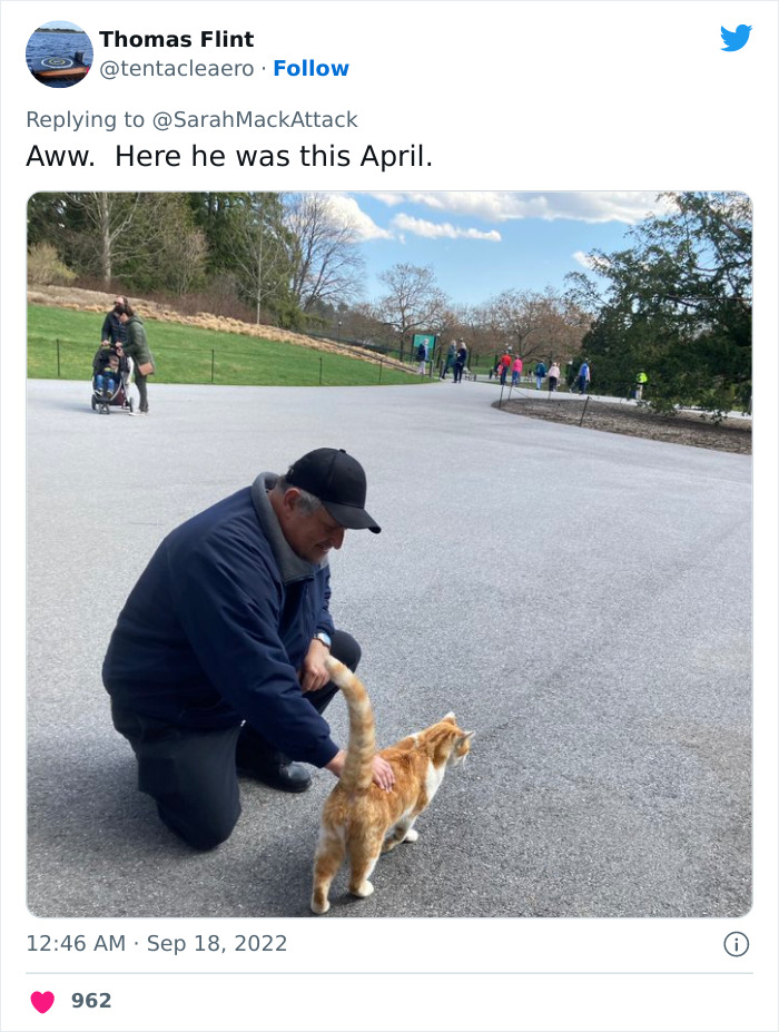 People Are Cracking Up At This Tweet In Which A Woman Tells How She Saw A Cat Being Escorted From A Botanical Garden People Are Cracking Up At This Tweet In Which A Woman Tells How She Saw A Cat Being Escorted From A Botanical Garden