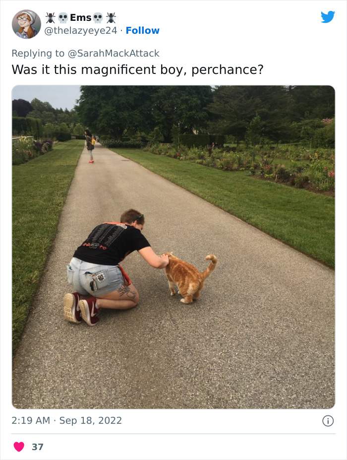People Are Cracking Up At This Tweet In Which A Woman Tells How She Saw A Cat Being Escorted From A Botanical Garden People Are Cracking Up At This Tweet In Which A Woman Tells How She Saw A Cat Being Escorted From A Botanical Garden