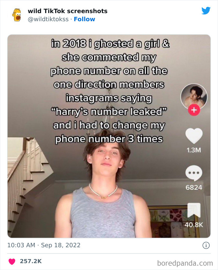 Wild-Tiktok-Screenshots