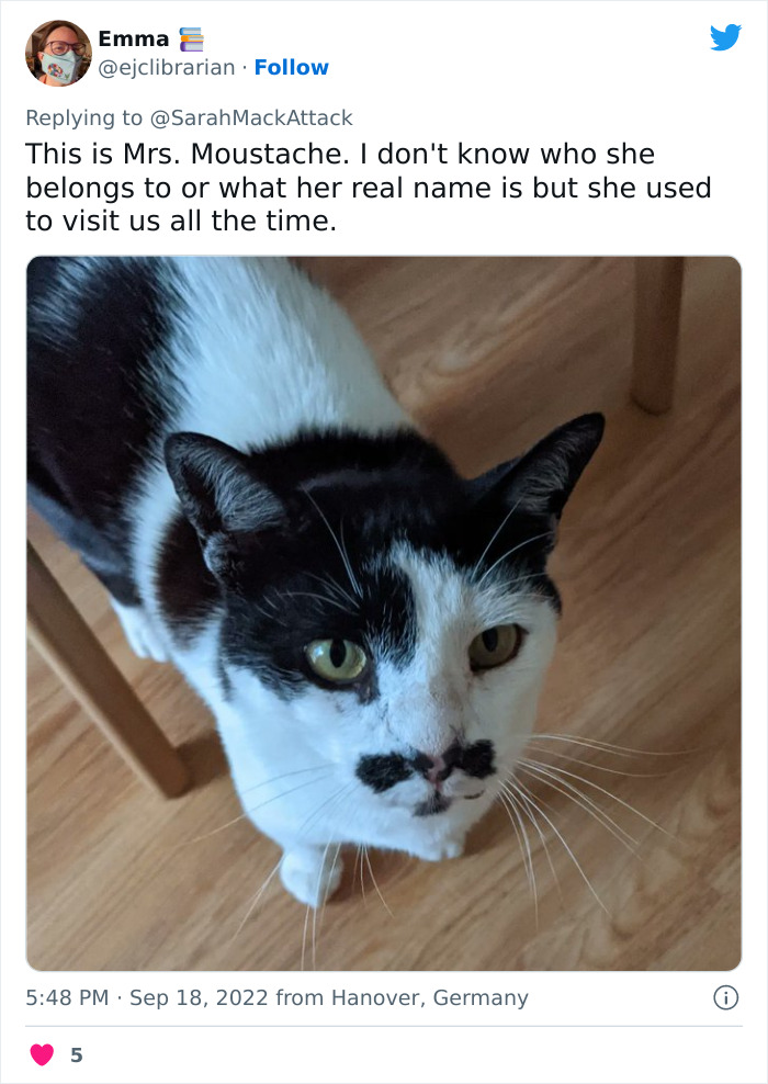 People Are Cracking Up At This Tweet In Which A Woman Tells How She Saw A Cat Being Escorted From A Botanical Garden People Are Cracking Up At This Tweet In Which A Woman Tells How She Saw A Cat Being Escorted From A Botanical Garden