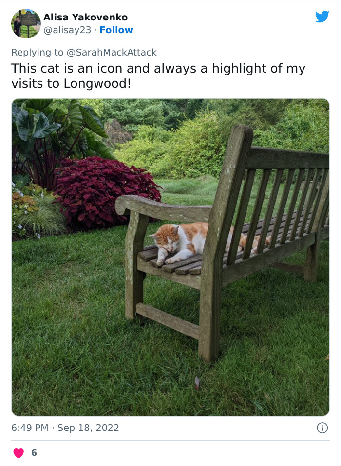 People Are Cracking Up At This Tweet In Which A Woman Tells How She Saw A Cat Being Escorted From A Botanical Garden People Are Cracking Up At This Tweet In Which A Woman Tells How She Saw A Cat Being Escorted From A Botanical Garden