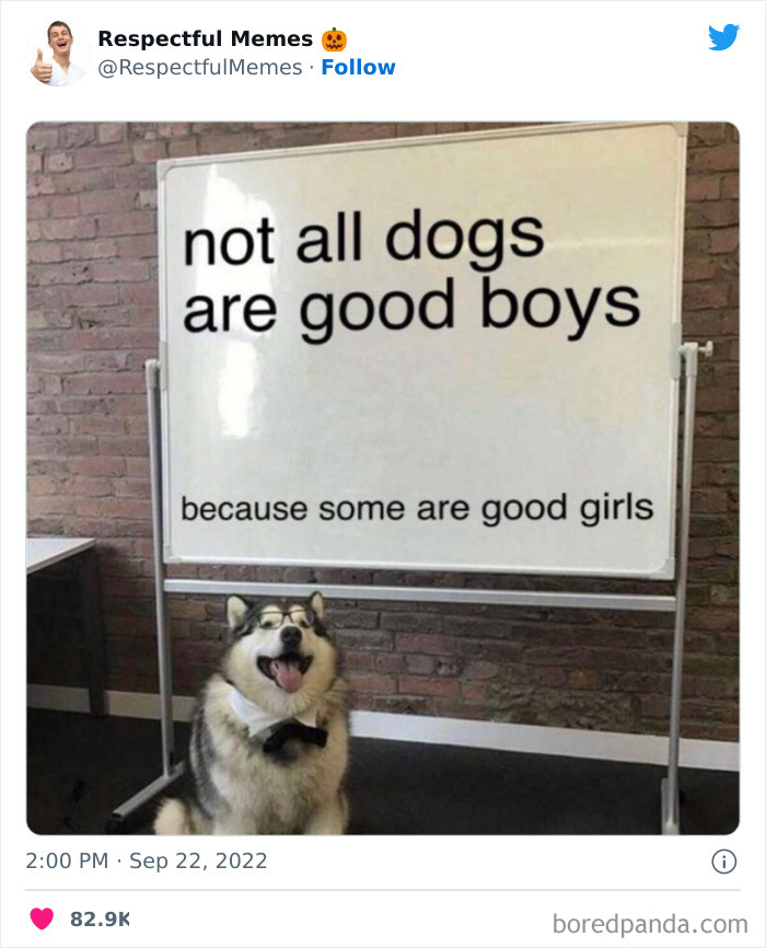 Kind-Respectful-Memes