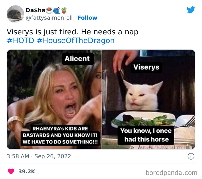 Alicent yelling at Viserys, portrayed as a meme with a cat, from House Of The Dragon.