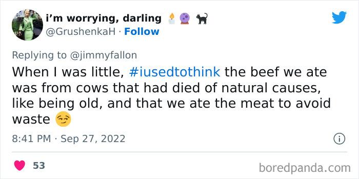 I-Used-To-Think-Jimmy-Fallon