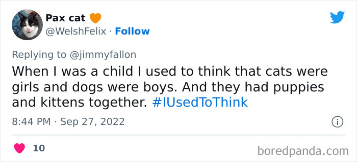 I-Used-To-Think-Jimmy-Fallon