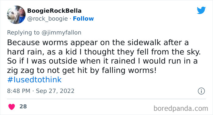 I-Used-To-Think-Jimmy-Fallon