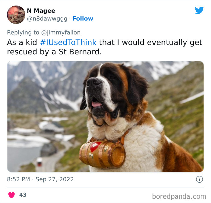 I-Used-To-Think-Jimmy-Fallon