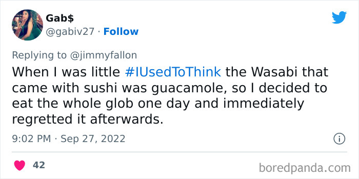 I-Used-To-Think-Jimmy-Fallon