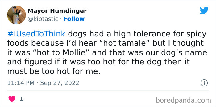 I-Used-To-Think-Jimmy-Fallon