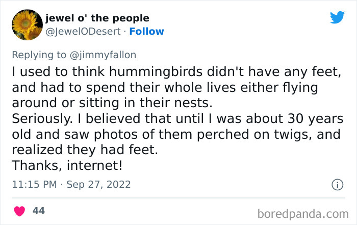 I-Used-To-Think-Jimmy-Fallon