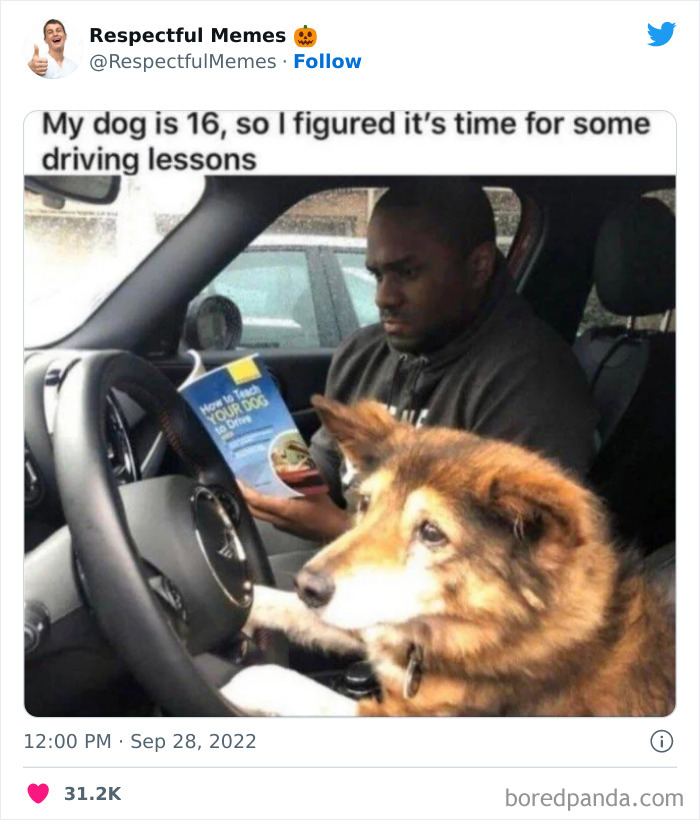 Kind-Respectful-Memes