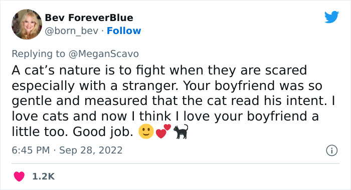 People Online Applaud Ordinary Heroes Who Risked Their Lives To Save Stranded Animals During Hurricane Ian