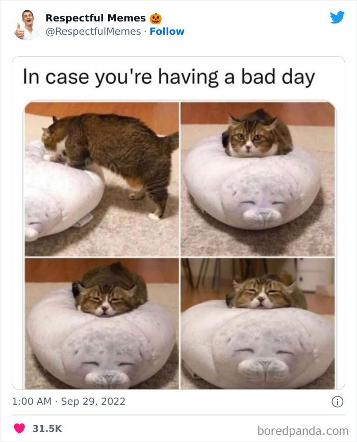 Kind-Respectful-Memes