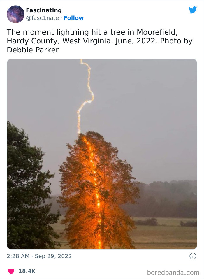 Interesting-Science-History-Art-Fasc1nate