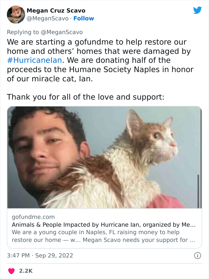 People Online Applaud Ordinary Heroes Who Risked Their Lives To Save Stranded Animals During Hurricane Ian